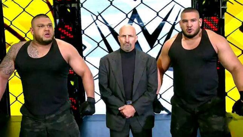 20230123 064103 WWE discussed a possible return of Authors of Pain & Paul Ellering